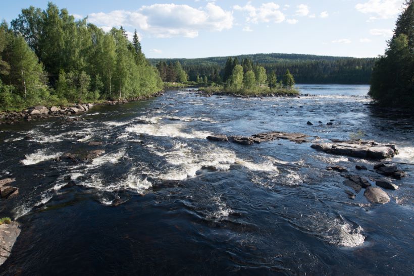 photographer Elverum