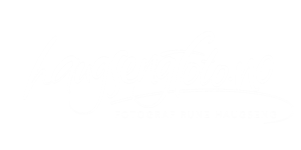 Haugseng Foto